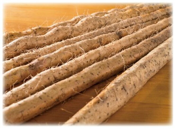 【ふるさと納税】自然薯の味をお楽しみください。自然薯生とろろ100g×5pセット【とろろ 極上とろろ 山芋 箱根 お家用 家庭用 国産 セット商品 自然薯 味付とろろ 神奈川県 小田原市 】 - 画像2