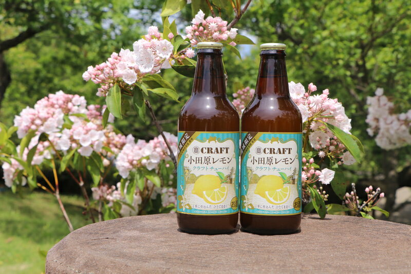 小田原レモンクラフトチューハイ　48本セット | 小田原レモン クラフトチューハイ 宝酒造株式会社 チューハイ レモンペースト 厳選した樽貯蔵熟成の焼酎 ストレート混濁果汁 焼酎 ひとてま造り 神奈川県 小田原市