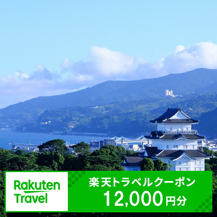楽天限定 神奈川県小田原市の対象施設で使える楽天トラベルクーポン 寄附額40,000円【小田原旅行 小田原満喫 小田原観光 12000円分 選べる宿泊先 旅行 宿泊 旅行券 宿泊券 ホテル 神奈川県 小田原市 】