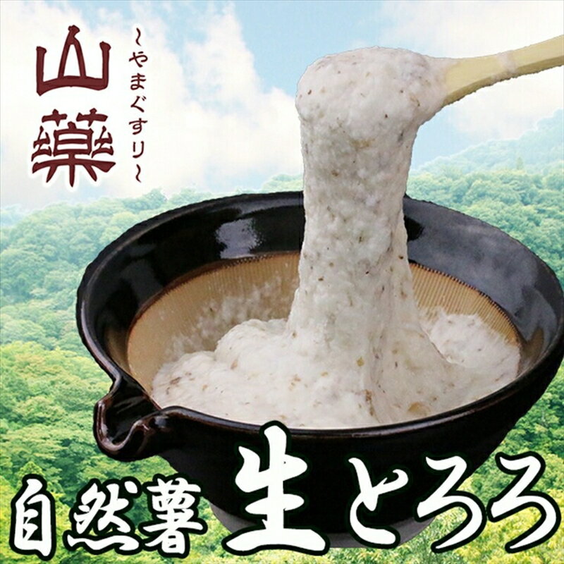 自然薯の味をお楽しみください。自然薯生とろろ100g×30pセット【とろろ 極上とろろ 山芋 お家用 家庭用 国産 セット商品 自然薯 神奈川県 小田原市 】