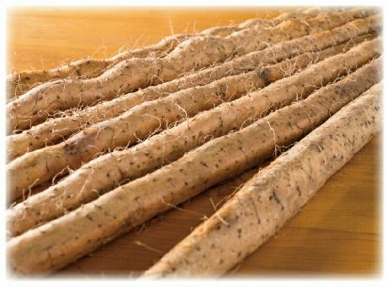 【ふるさと納税】自然薯の味をお楽しみください。自然薯生とろろ100g×30pセット【とろろ 極上とろろ 山芋 お家用 家庭用 国産 セット商品 自然薯 神奈川県 小田原市 】 - 画像2