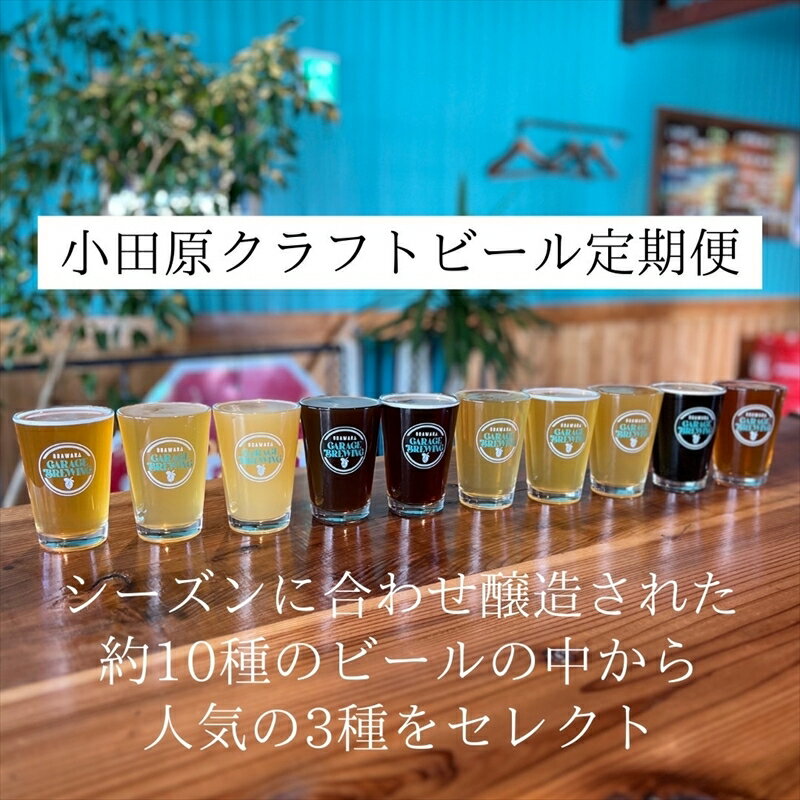 季節限定　小田原クラフトビール3種　【定期便：3カ月に1回 計4回お届け】 クラフトビール・地ビール【 ビール お酒 神奈川県 小田原市 】