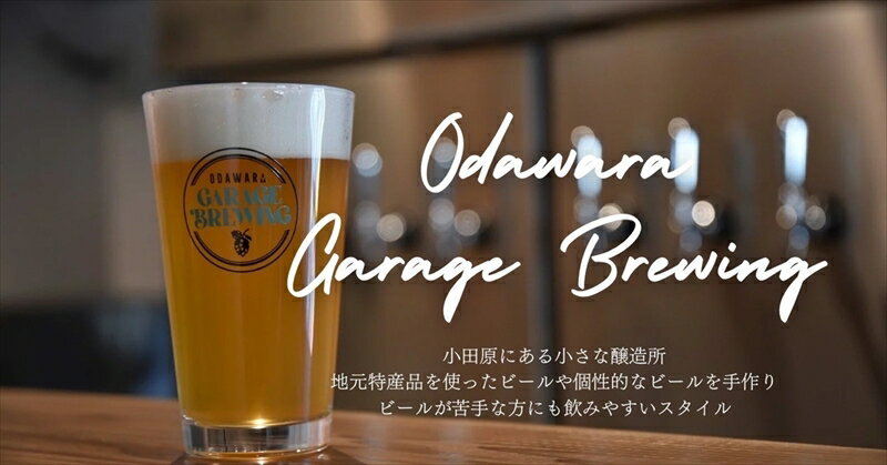 【ふるさと納税】季節限定　小田原クラフトビール3種　【定期便：3カ月に1回 計4回お届け】 クラフトビール・地ビール【 ビール お酒 神奈川県 小田原市 】 サムネイル2
