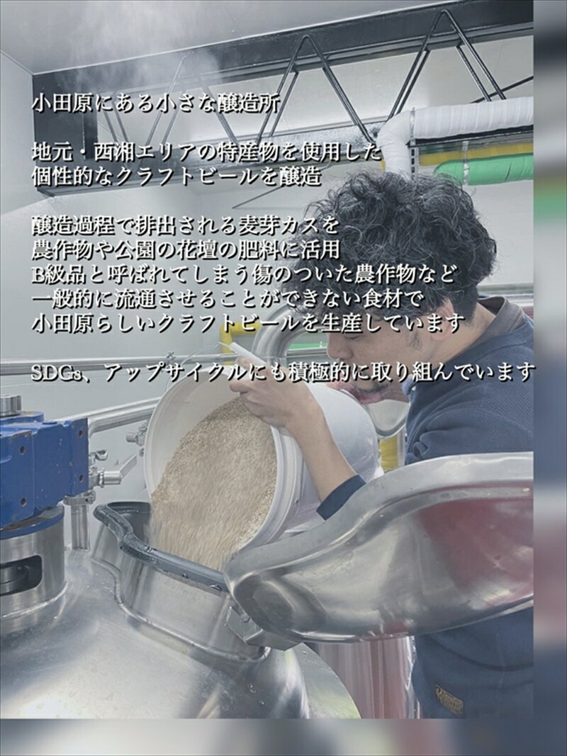 【ふるさと納税】季節限定　小田原クラフトビール3種　【定期便：3カ月に1回 計4回お届け】 クラフトビール・地ビール【 ビール お酒 神奈川県 小田原市 】 サムネイル3