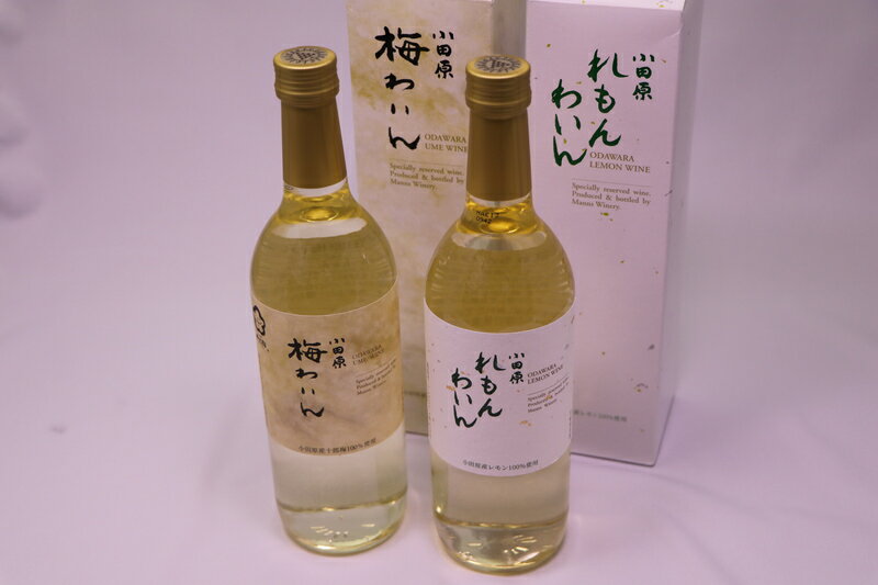 【ふるさと納税】城下町小田原の飲み比べわいんAセット(2本セット) | 小田原の飲み比べわいんAセット 飲み比べ お酒 れもんわいん 梅わいん 小田原産レモン 小田原産梅 十郎梅 高品質の十郎梅 小田原特産品使用 神奈川県 小田原市 サムネイル2