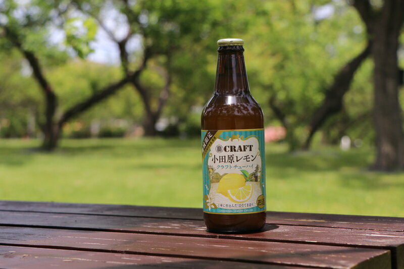 【ふるさと納税】小田原レモンクラフトチューハイ　12本セット | 小田原レモン クラフトチューハイ 宝酒造株式会社 チューハイ レモンペースト 厳選した樽貯蔵熟成の焼酎 ストレート混濁果汁 焼酎 ひとてま造り 神奈川県 小田原市 サムネイル2