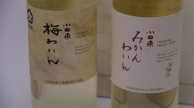 城下町小田原の飲み比べわいんBセット（2本セット) | 小田原の飲み比べわいんBセット 飲み比べ お酒 みかんわいん 梅わいん 小田原産みかん 小田原産梅 十郎梅 高品質の十郎梅 小田原特産品使用 神奈川県 小田原市