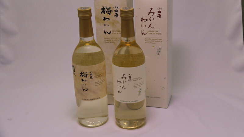 【ふるさと納税】城下町小田原の飲み比べわいんBセット（2本セット) | 小田原の飲み比べわいんBセット 飲み比べ お酒 みかんわいん 梅わいん 小田原産みかん 小田原産梅 十郎梅 高品質の十郎梅 小田原特産品使用 神奈川県 小田原市 サムネイル2