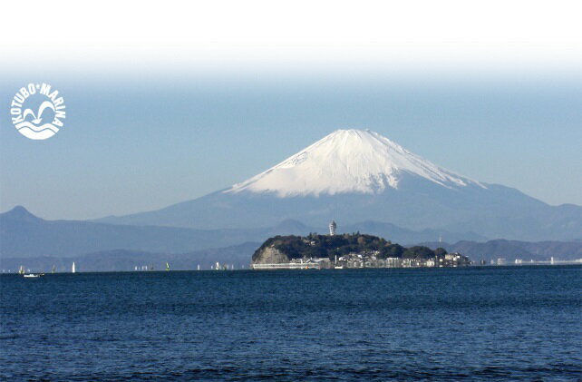 【ふるさと納税】【小坪マリーナ】ボートレンタル・ライセンス・陸置保管料・店内ご利用割引チケットB　体験チケット・地域のお買い物券 - 画像3