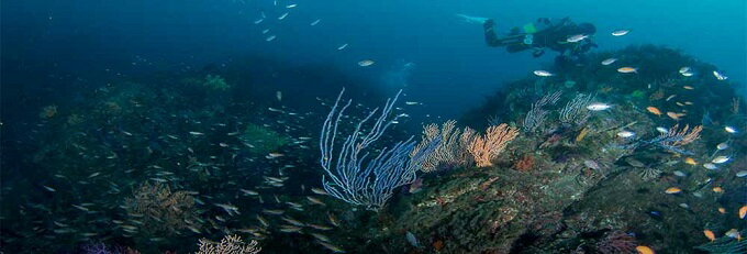 【ふるさと納税】逗子・葉山ダイビングリゾート（小坪）で使えるご利用割引券A　体験チケット - 画像3