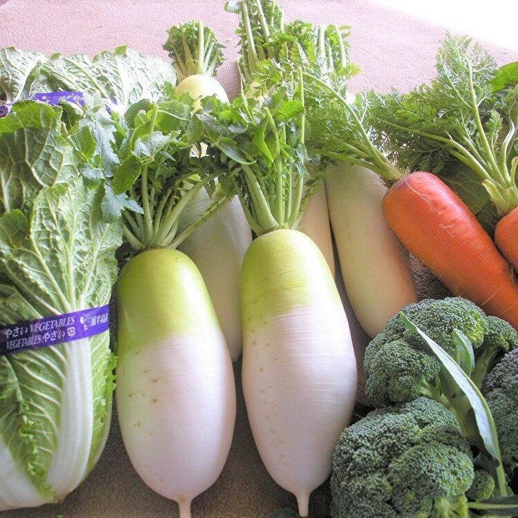 【ふるさと納税】 ボリューム満点 季節の野菜 詰め合わせ （冬） 三浦大根 大根 だいこん 野菜 冬野菜 青首 味一番 白菜 ブロッコリー 人参 カブ ケール ビーツ おいしい 期間限定 三浦野菜 旬のやさい くろぜむ農園 神奈川 三浦市 おすすめ ランキング プレゼント ギフト サムネイル2