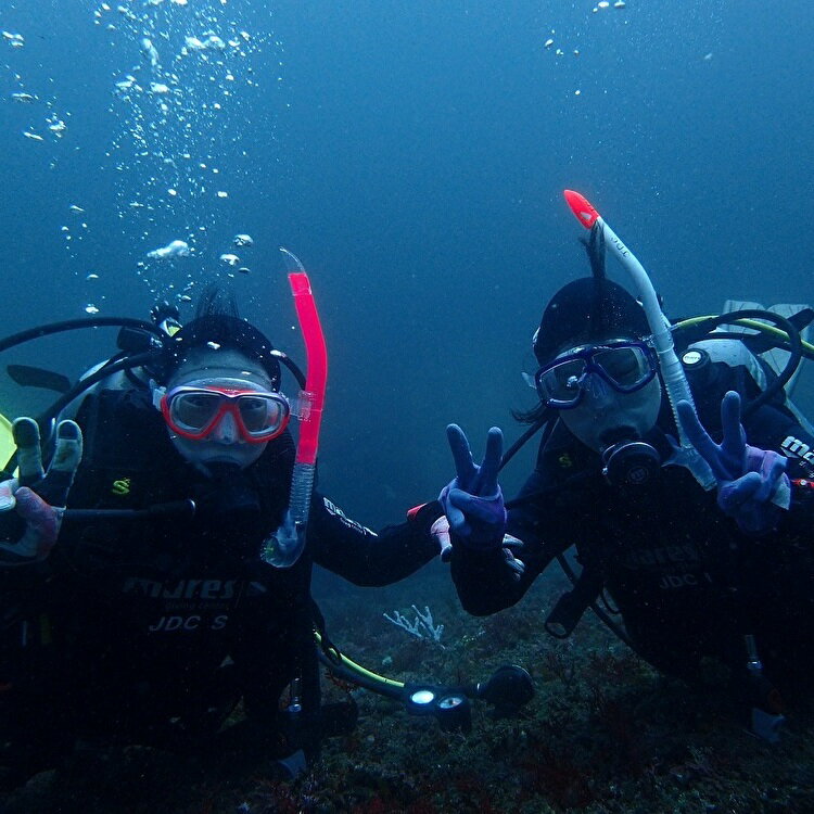 三浦半島城ケ島の海で体験ダイビング
