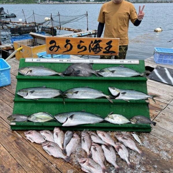 【ふるさと納税】 「海上釣り堀みうら海王」無料招待券 サムネイル3