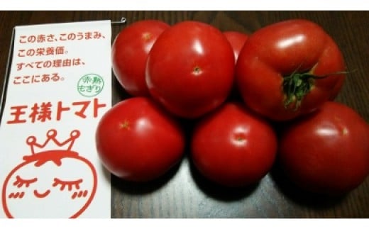 王様トマト 贅沢セット 3kg以上 トマト とまと 野菜 王様とまと 完熟 赤熟もぎり リコピン 美白効果 日持ちがよい 美味しい おいしい みずみずしい 期間限定 季節の野菜 旬のやさい くろぜむ農園 神奈川 三浦市 おすすめ ランキング プレゼント ギフト