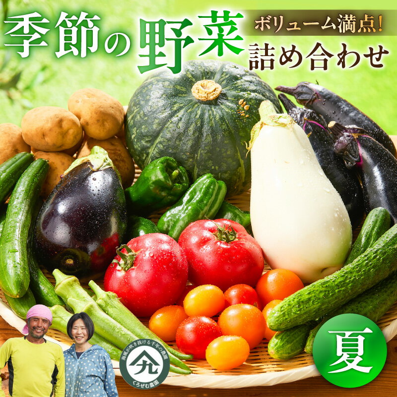 ボリューム満点 季節の野菜 詰め合わせ（夏）期間限定 トマト とまと かぼちゃ カボチャ 南瓜 王様トマト 王様とまと 野菜 甘い おいしい ホクホク 栄養満点 セット 旬のやさい くろぜむ農園 神奈川 三浦市 おすすめ ランキング プレゼント ギフト