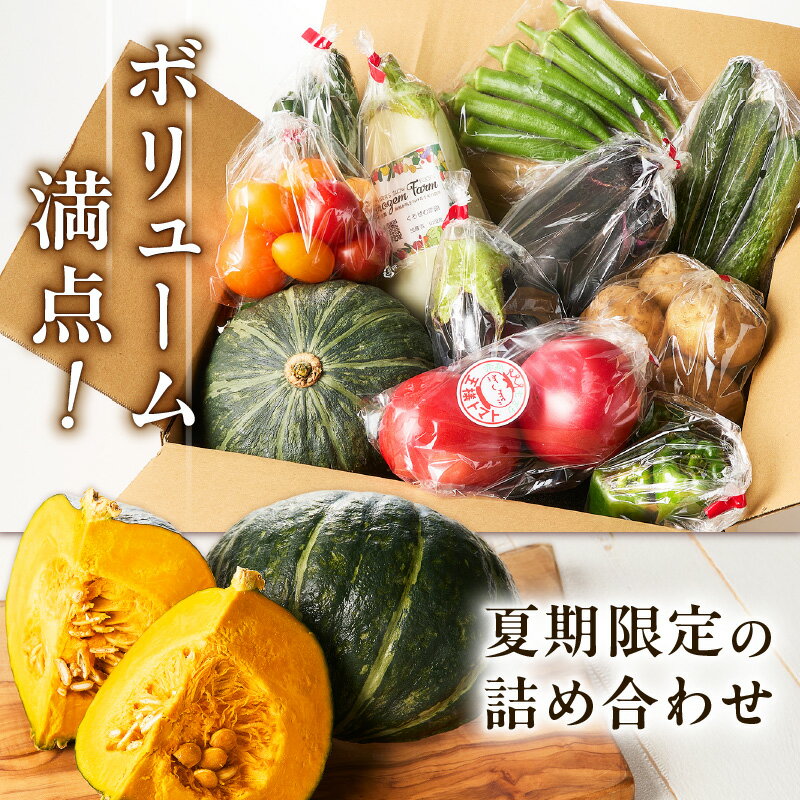 【ふるさと納税】 ボリューム満点 季節の野菜 詰め合わせ（夏）期間限定 トマト とまと かぼちゃ カボチャ 南瓜 王様トマト 王様とまと 野菜 甘い おいしい ホクホク 栄養満点 セット 旬のやさい くろぜむ農園 神奈川 三浦市 おすすめ ランキング プレゼント ギフト - 画像2