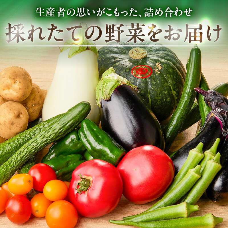 【ふるさと納税】 ボリューム満点 季節の野菜 詰め合わせ（夏）期間限定 トマト とまと かぼちゃ カボチャ 南瓜 王様トマト 王様とまと 野菜 甘い おいしい ホクホク 栄養満点 セット 旬のやさい くろぜむ農園 神奈川 三浦市 おすすめ ランキング プレゼント ギフト - 画像3