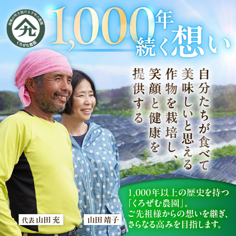 【ふるさと納税】 王様トマト 贅沢セット 3kg以上 トマト とまと 野菜 王様とまと 完熟 赤熟もぎり リコピン 美白効果 日持ちがよい 美味しい おいしい みずみずしい 期間限定 季節の野菜 旬のやさい くろぜむ農園 神奈川 三浦市 おすすめ ランキング プレゼント ギフト - 画像3