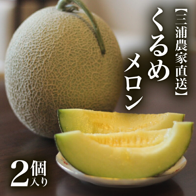 三浦農家直送 くるめメロン 2個入り メロン 緑肉 フルーツ 果物 果実 期間限定 数量限定 限定 甘い あまい 美味しい おいしい 採れたて 直送 めろん 旬の果物 贈答 ヤマイチ農園 ふるさと納税 神奈川 三浦市 おすすめ ランキング プレゼント ギフト
