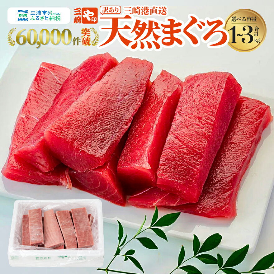 【訳あり】＜選べる＞ これを選べば間違いなし こだわりの三崎天然マグロ 赤身 1kg ～ 3kg まぐろ マグロ 鮪 天然 老舗 問屋 直送 業務用 大容量 三崎港 魚 数量限定 や印 神奈川 三浦市 おすすめ ランキング プレゼント ギフト