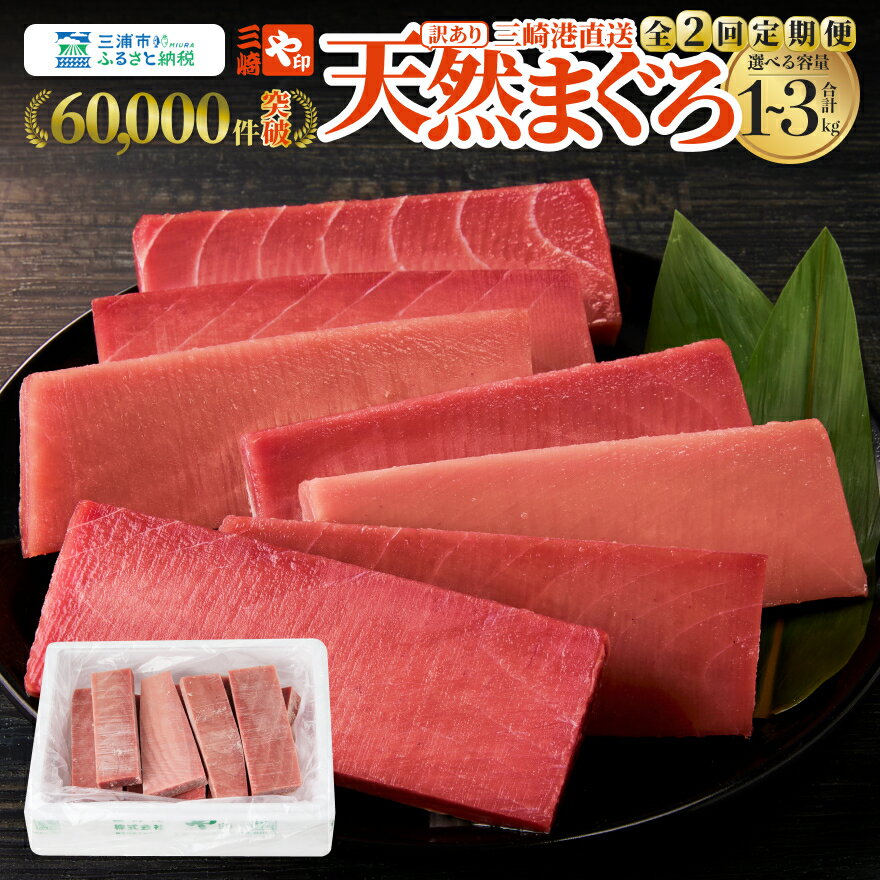 ＜容量が選べる＞【訳あり】【全2回 定期便】徳用 老舗 三崎まぐろ 問屋から直送 新鮮 天然 マグロ 赤身 計2kg～6kg まぐろ 鮪 三崎港 海鮮 魚 魚介類 刺身 わけあり 冷凍 や印 神奈川県 三浦市 おすすめ ランキング プレゼント ギフト