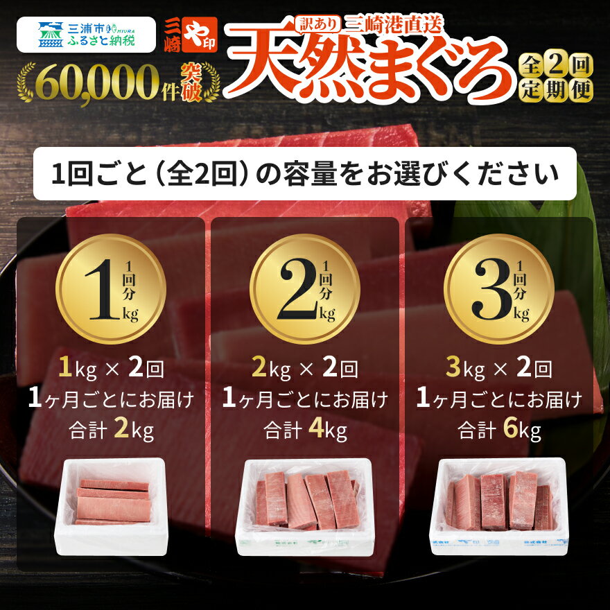 【ふるさと納税】＜容量が選べる＞【訳あり】【全2回 定期便】徳用 老舗 三崎まぐろ 問屋から直送 新鮮 天然 マグロ 赤身 計2kg～6kg まぐろ 鮪 三崎港 海鮮 魚 魚介類 刺身 わけあり 冷凍 や印 神奈川県 三浦市 おすすめ ランキング プレゼント ギフト サムネイル3