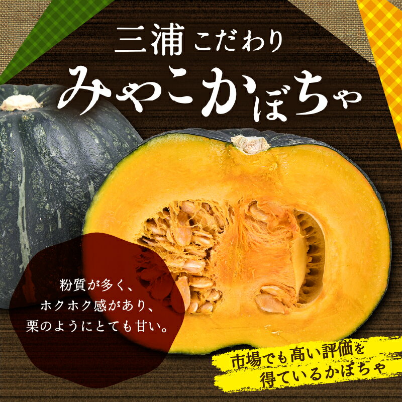 【ふるさと納税】【先行予約】 神奈川県 三浦市産 三浦こだわりかぼちゃ 7～8個 or 3個 かぼちゃ 南瓜 みやこ 野菜 甘い ほくほく ねっとり 完熟 期間限定 限定 国産 期間 予約 三浦市農業協同組合 三浦市 おすすめ ランキング プレゼント ギフト - 画像2