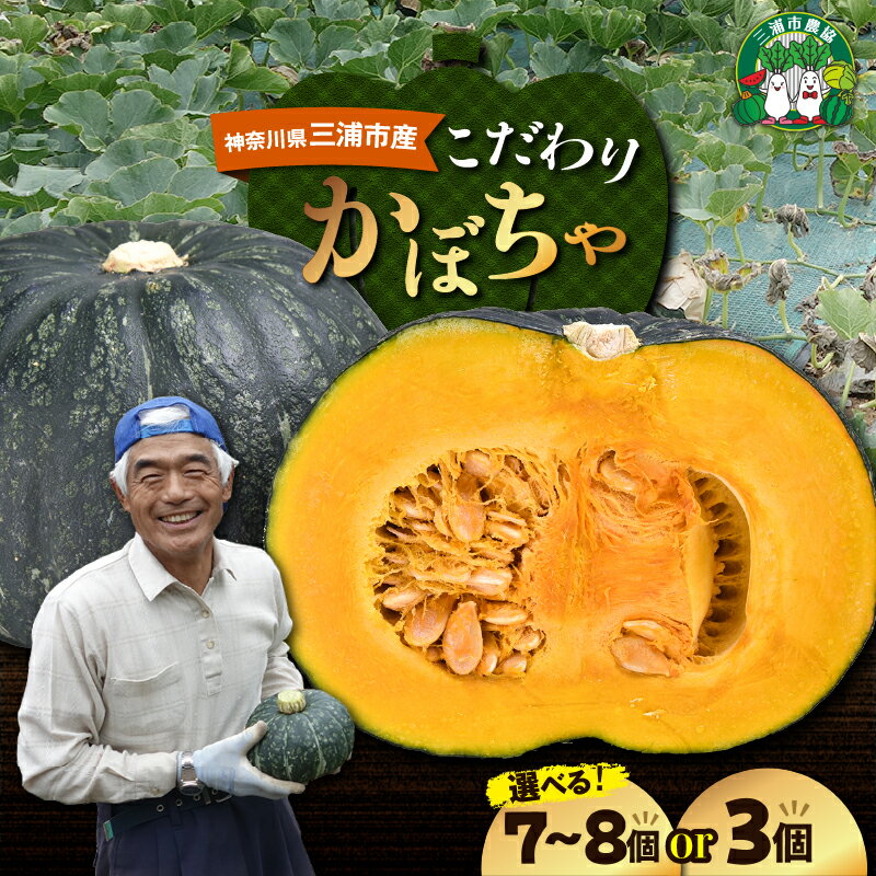 【先行予約】 神奈川県 三浦市産 三浦こだわりかぼちゃ 7～8個 or 3個 かぼちゃ 南瓜 みやこ 野菜 甘い ほくほく ねっとり 完熟 期間限定 限定 国産 期間 予約 三浦市農業協同組合 三浦市 おすすめ ランキング プレゼント ギフト