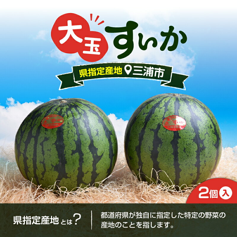【ふるさと納税】【先行予約】 神奈川県 三浦市産 大玉すいか 2個 すいか スイカ 西瓜 大玉 果物 フルーツ 三浦市農業協同組合 神奈川県 三浦市 おすすめ ランキング プレゼント ギフト サムネイル2
