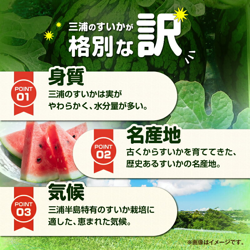 【ふるさと納税】【先行予約】 神奈川県 三浦市産 大玉すいか 2個 すいか スイカ 西瓜 大玉 果物 フルーツ 三浦市農業協同組合 神奈川県 三浦市 おすすめ ランキング プレゼント ギフト サムネイル3