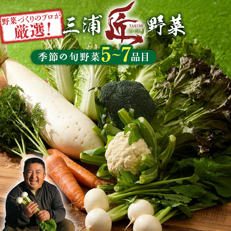 三浦の匠野菜 セット 野菜 かぶ 大根 サニーレタス ブロッコリー カリフラワー キャベツ 季節の野菜 旬 三浦かぶ 三浦大根 詰め合わせ 詰合せ 期間限定 限定 新鮮 ピーカブー 神奈川県 三浦市 おすすめ ランキング プレゼント ギフト