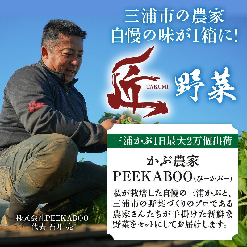 【ふるさと納税】 三浦の匠野菜 セット 野菜 かぶ 大根 サニーレタス ブロッコリー カリフラワー キャベツ 季節の野菜 旬 三浦かぶ 三浦大根 詰め合わせ 詰合せ 期間限定 限定 新鮮 ピーカブー 神奈川県 三浦市 おすすめ ランキング プレゼント ギフト - 画像2
