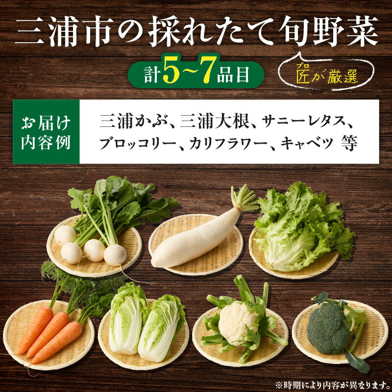 【ふるさと納税】 三浦の匠野菜 セット 野菜 かぶ 大根 サニーレタス ブロッコリー カリフラワー キャベツ 季節の野菜 旬 三浦かぶ 三浦大根 詰め合わせ 詰合せ 期間限定 限定 新鮮 ピーカブー 神奈川県 三浦市 おすすめ ランキング プレゼント ギフト - 画像3
