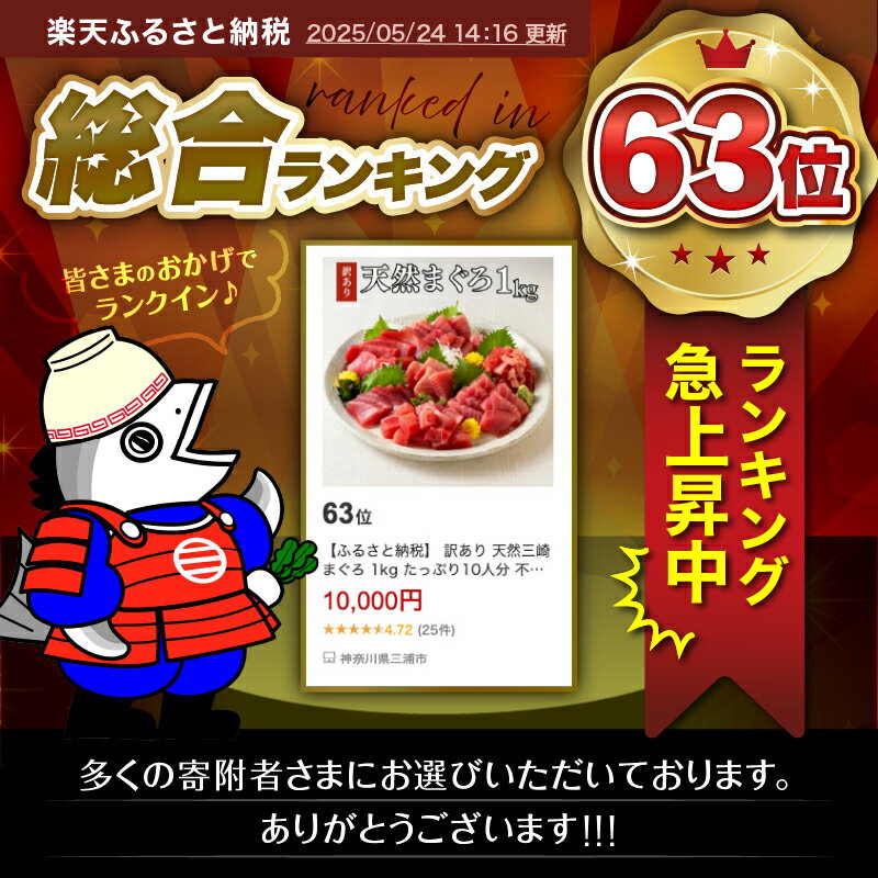 【ふるさと納税】【7営業日以内に発送】＜選べる＞ 天然 三崎まぐろ 赤身 切落し 500g ～ 3kg ブロック カット 不揃い バラエティ 訳あり まぐろ マグロ 鮪 メバチマグロ 切り落とし 刺身 魚 魚介 三崎恵水産 神奈川県 三浦市 おすすめ ランキング サムネイル3