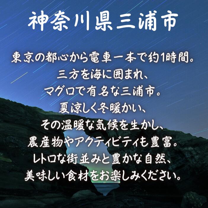 【ふるさと納税】神奈川県三浦市の対象施設で使える楽天トラベルクーポン 寄附額30,000円 - 画像2
