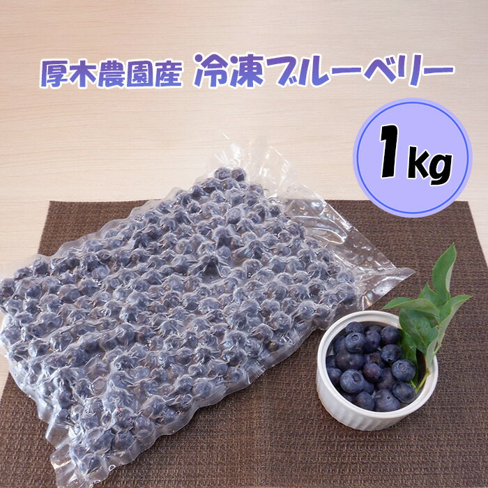 厚木農園産　プレミア冷凍ブルーベリー（1kg） ／ 飯山 自然 栽培 丁寧 選別 送料無料 神奈川県