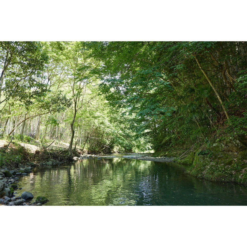 【ふるさと納税】【平日・期間限定】あつぎ飯山キャンプ場サイト利用券 ／ キャンプ場 利用券 平日限定 サイト利用 アウトドア テント 宿泊 チケット レジャー 厚木市 - 画像2