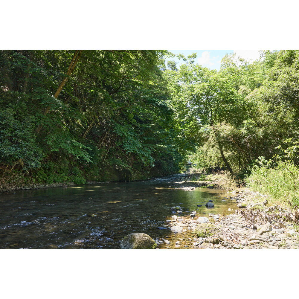 【ふるさと納税】【平日・期間限定】あつぎ飯山キャンプ場サイト利用券 ／ キャンプ場 利用券 平日限定 サイト利用 アウトドア テント 宿泊 チケット レジャー 厚木市 - 画像3