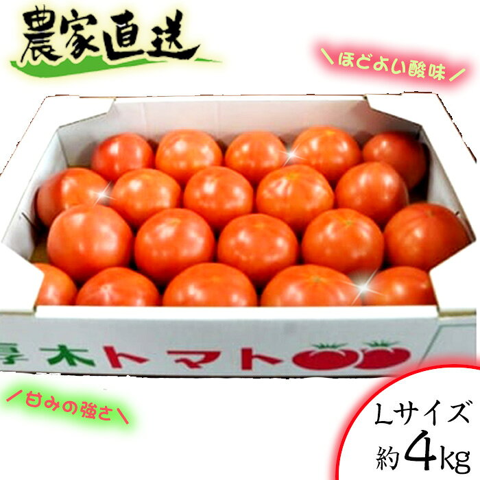 農家直送！　トマト　Lサイズ　約4kg ／ とまと 農園 かながわブランド 神奈川県