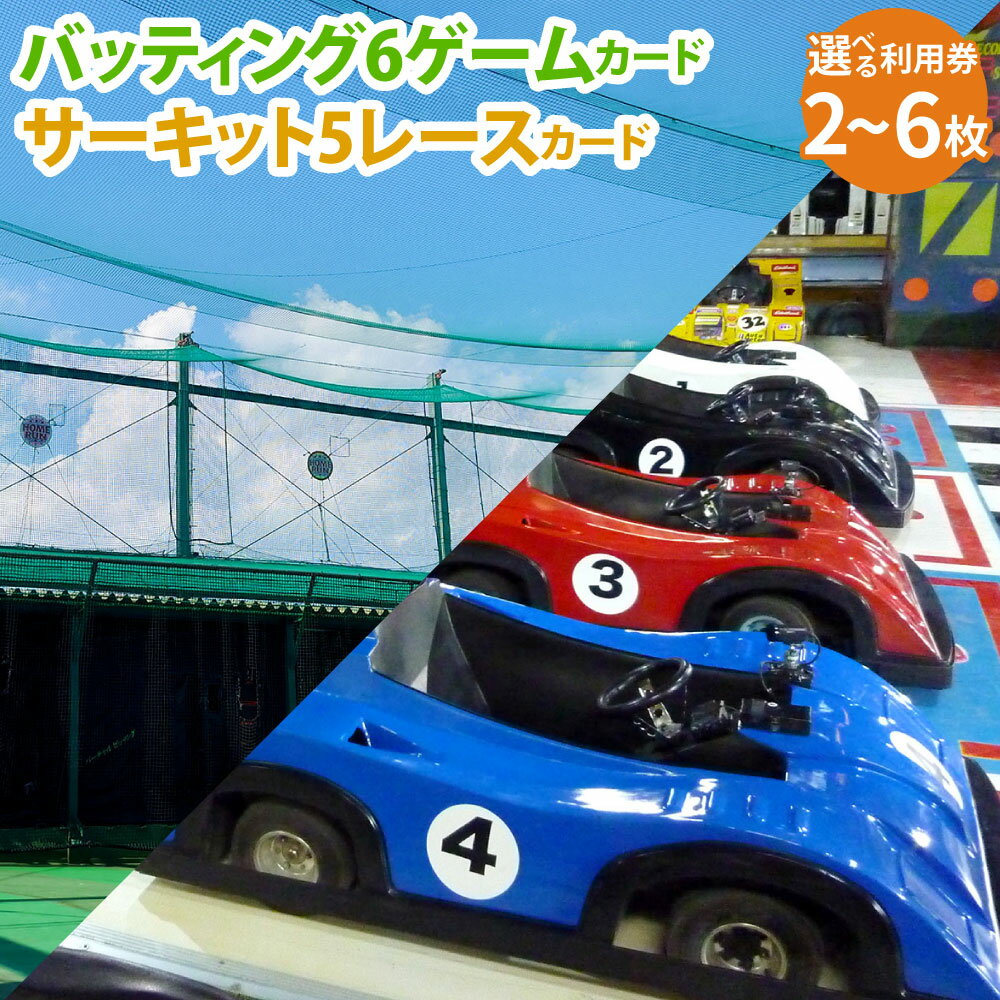 バッティング 6ゲームカード ＋ サーキット 5レースカード 大和レジャー スポーツプラザ ビッグバン 〈選べる枚数〉 1枚セット ／ 2枚セット ／ 3枚セット 野球 打撃練習 チケット 利用券 室内 スポーツ アミューズメント 神奈川県 大和市 送料無料
