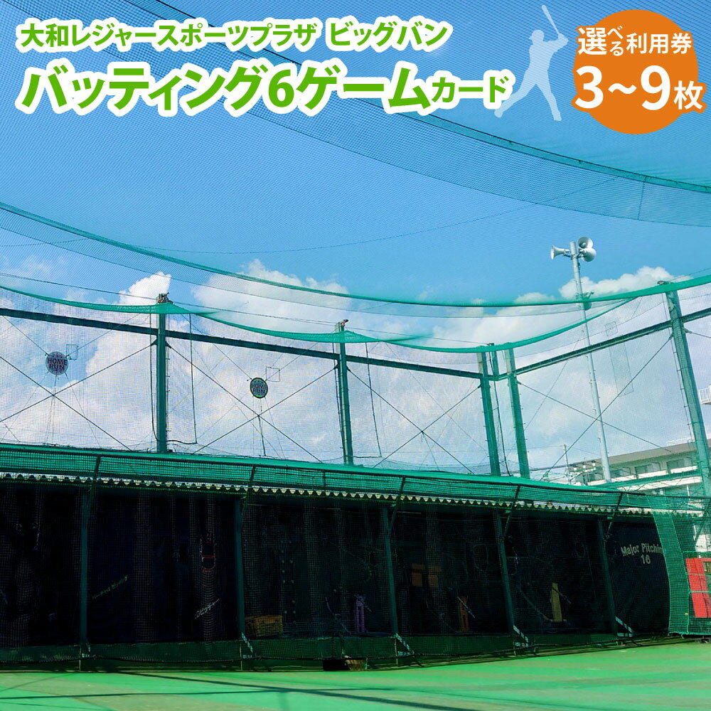 バッティング 6ゲームカード 大和レジャー スポーツプラザ ビッグバン 〈選べる枚数〉 3枚 ／ 6枚 ／ 9枚 野球 打撃練習 チケット 利用券 室内 スポーツ アミューズメント 神奈川県 大和市 送料無料