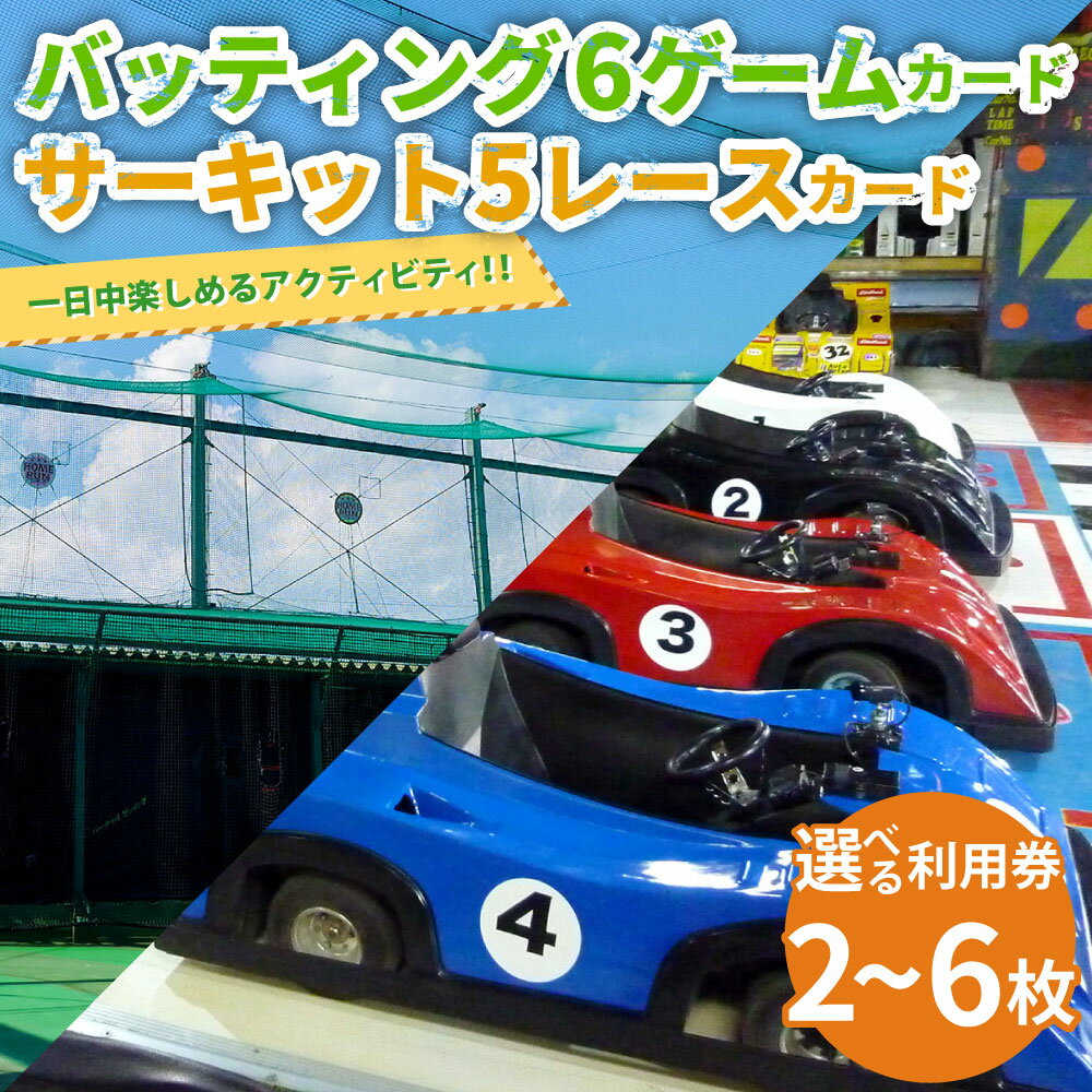 【ふるさと納税】バッティング 6ゲームカード ＋ サーキット 5レースカード 大和レジャー スポーツプラザ ビッグバン 〈選べる枚数〉 1枚セット ／ 2枚セット ／ 3枚セット 野球 打撃練習 チケット 利用券 室内 スポーツ アミューズメント 神奈川県 大和市 送料無料 - 画像2