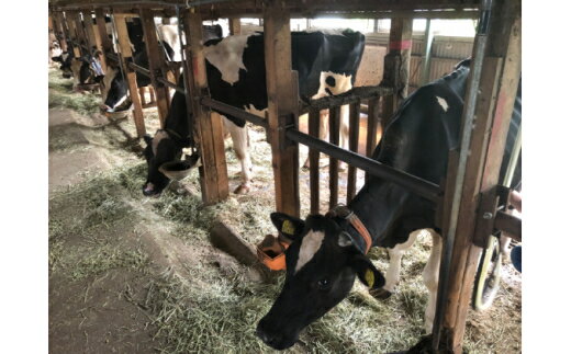 【ふるさと納税】[柏木牧場] お買い物券A (3000円分)｜伊勢原市 日帰り ハンバーグ ソフトクリーム 商品券 クーポン券 [0070] - 画像3