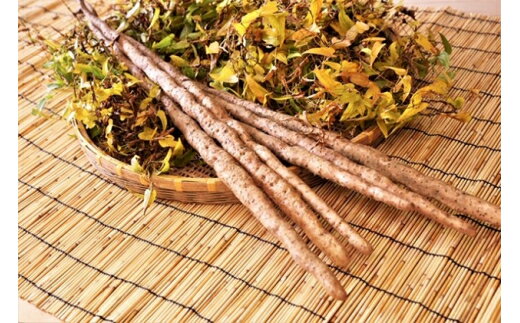 【ふるさと納税】自然薯をおろさなくていいんです！自然薯パウダー 40g×10袋 水で溶いて手軽に召し上がれるフリーズドライの粉末 [0204] - 画像2