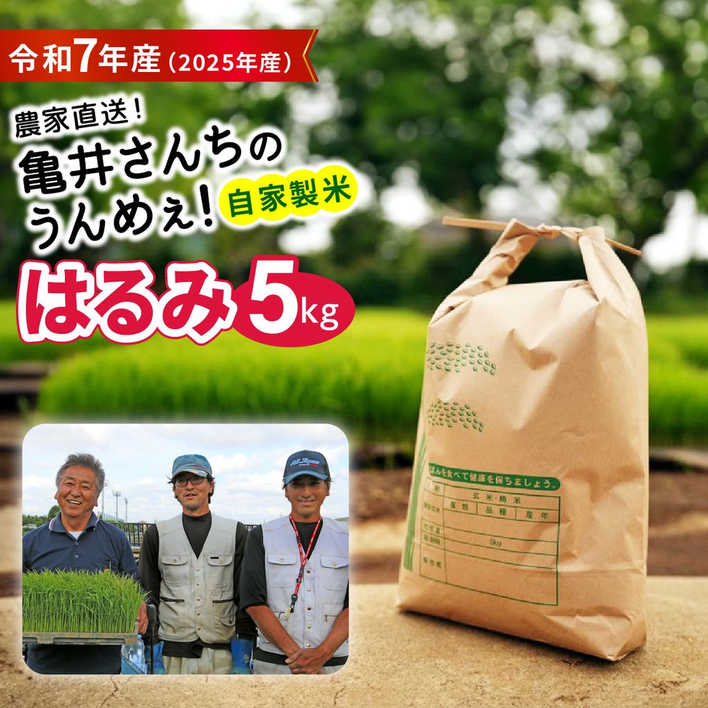 [令和7年産] 伊勢原産 精米 5kg はるみ 農家直送！亀井さんちのうんめぇ！自家製米｜お米 おこめ コメ 白米 神奈川 伊勢原 ブランド米 2025年 産地直送 [0355]