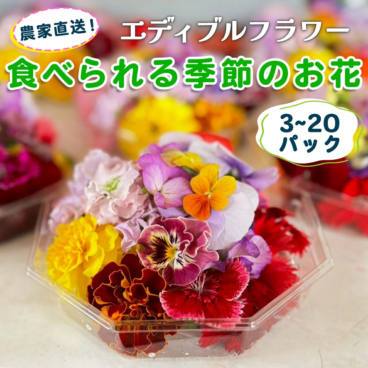 農家直送！加藤さんちのエディブルフラワー《選べるパック数：3パック／5パック／10パック／15パック／20パック》(1パックあたり季節のお花15輪から30輪)｜食用 花 お花 野菜 トッピング 付け合わせ [0762-0767]
