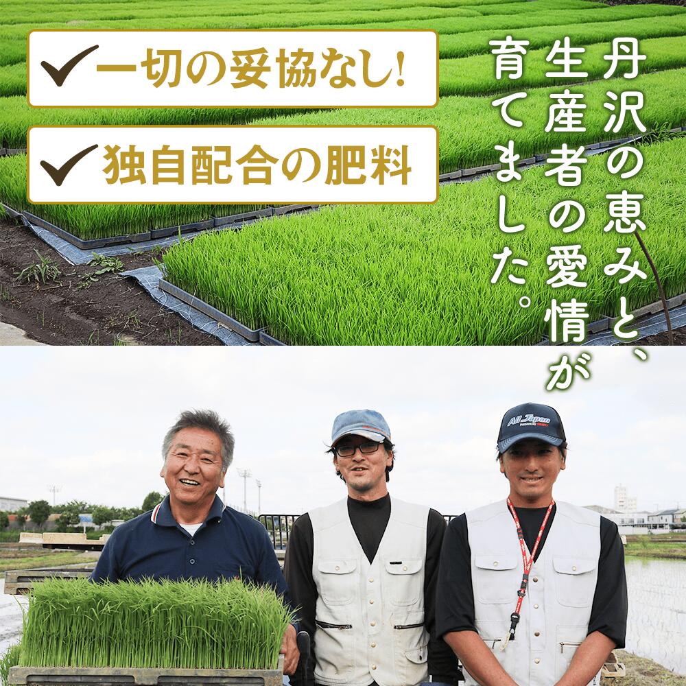 【ふるさと納税】[令和7年産] 伊勢原産 精米 5kg はるみ 農家直送！亀井さんちのうんめぇ！自家製米｜お米 おこめ コメ 白米 神奈川 伊勢原 ブランド米 2025年 産地直送 [0355] - 画像2