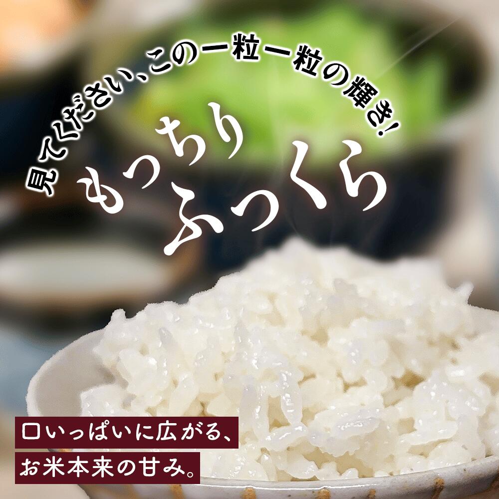 【ふるさと納税】[令和7年産] 伊勢原産 精米 5kg はるみ 農家直送！亀井さんちのうんめぇ！自家製米｜お米 おこめ コメ 白米 神奈川 伊勢原 ブランド米 2025年 産地直送 [0355] - 画像3