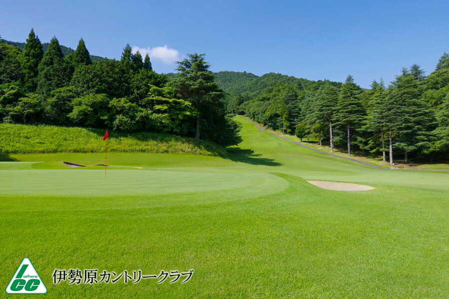 【ふるさと納税】神奈川県伊勢原市の対象ゴルフ場で使える楽天GORAクーポン 寄付額50,000円 [0700] - 画像2