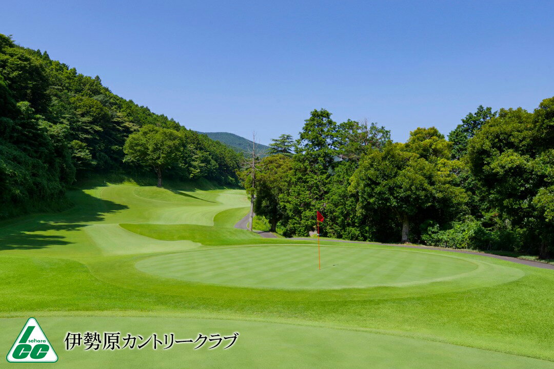 【ふるさと納税】神奈川県伊勢原市の対象ゴルフ場で使える楽天GORAクーポン 寄付額50,000円 [0700] - 画像3